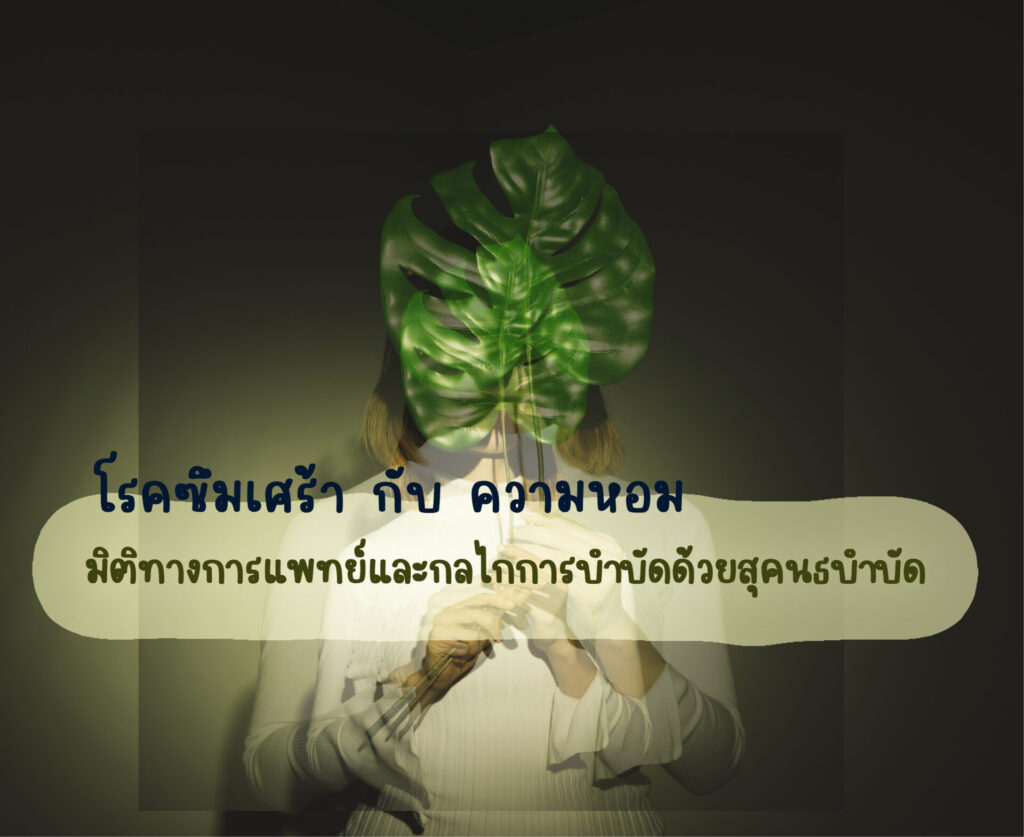 โรคซึมเศร้า กับ ความหอม: 2 โรคซึมเศร้า กับ ความหอม: 2